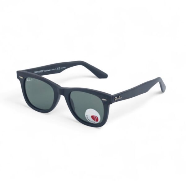 2 Polarized Glass Lens Wayfarer